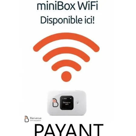 Au Centre Avec Piscine, Sauna Et Acces Internet - Fr-1-296-421 Saint-Lary-Soulan